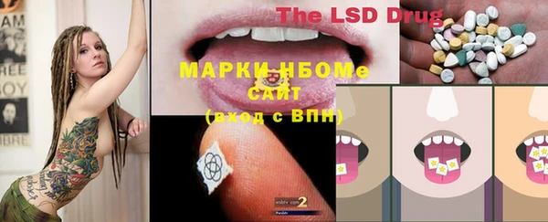 PSILOCYBIN Карпинск