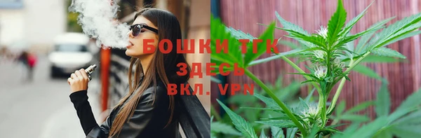 PSILOCYBIN Карпинск