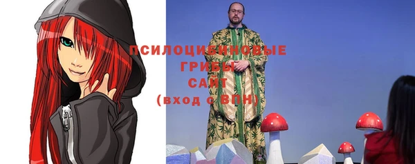 PSILOCYBIN Карпинск