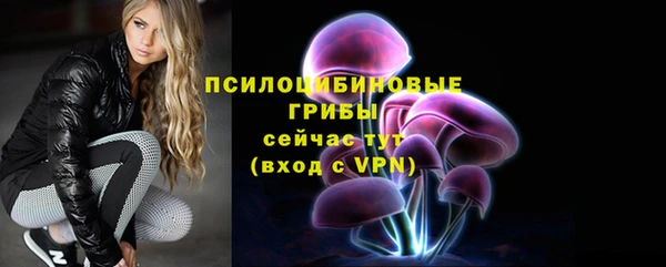 PSILOCYBIN Карпинск