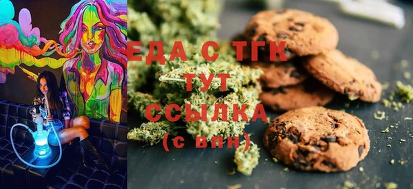 индика Касимов