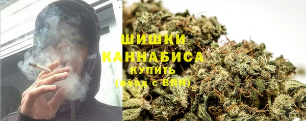 индика Касимов