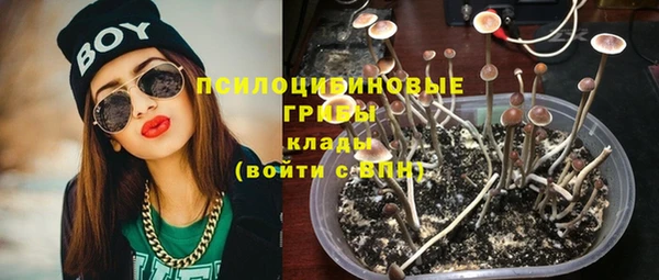 PSILOCYBIN Карпинск