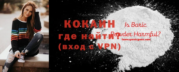 индика Касимов