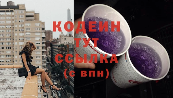 индика Касимов