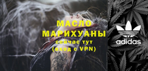 индика Касимов