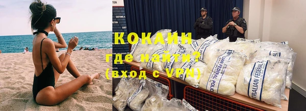 индика Касимов
