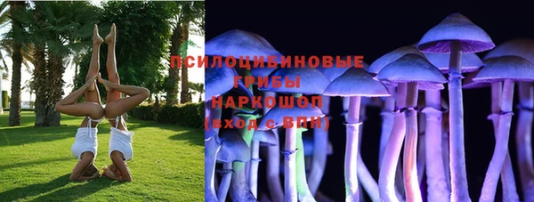 PSILOCYBIN Карпинск