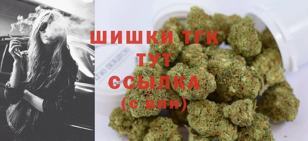 индика Касимов