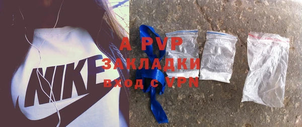 индика Касимов