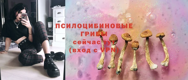 сатива Кинешма